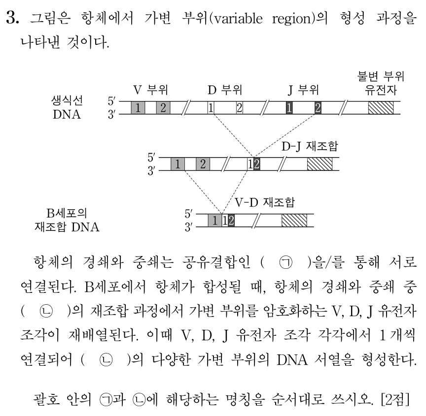 가변 부위 형성 과정