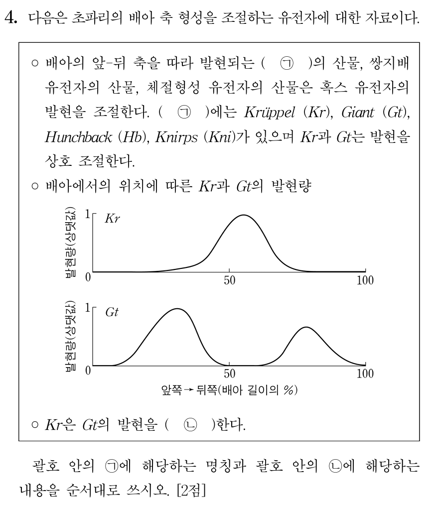 초파리 배아 축 형성