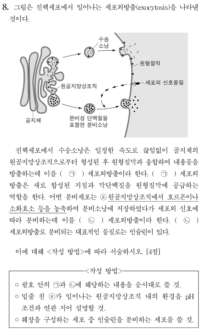 진핵세포 세포외방출