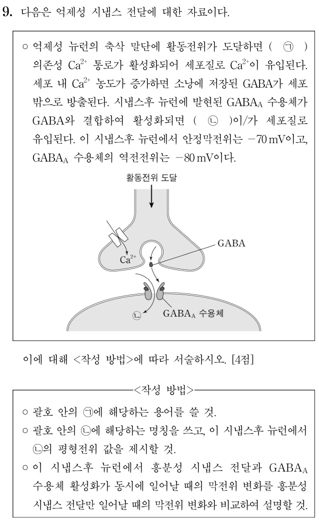 억제성 시냅스 전달