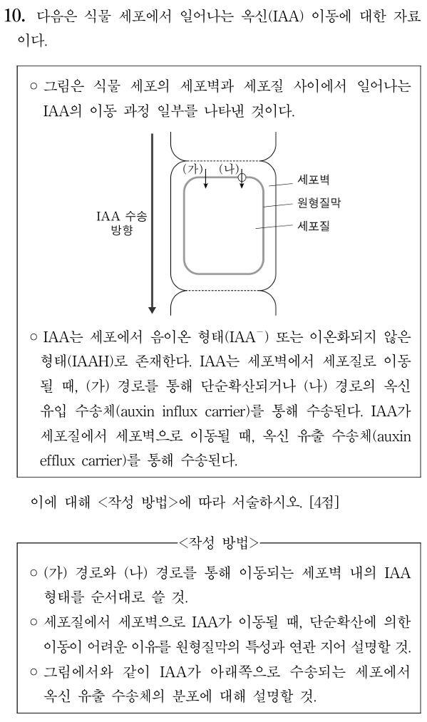 식물세포 옥신 이동