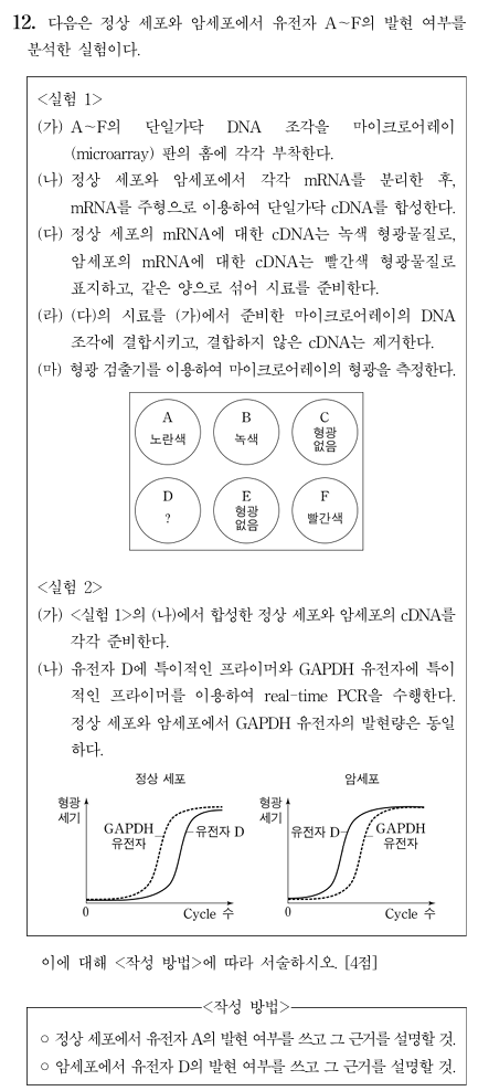 정상세포 암세포 유전자 발현 여부