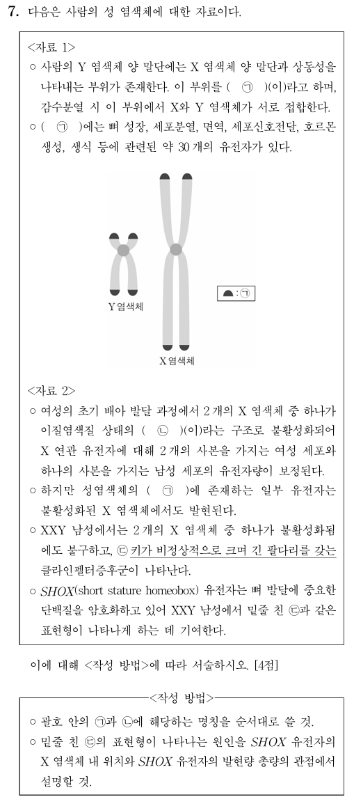 성 염색체 특징