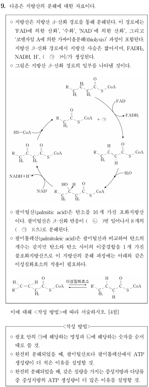 지방산 분해