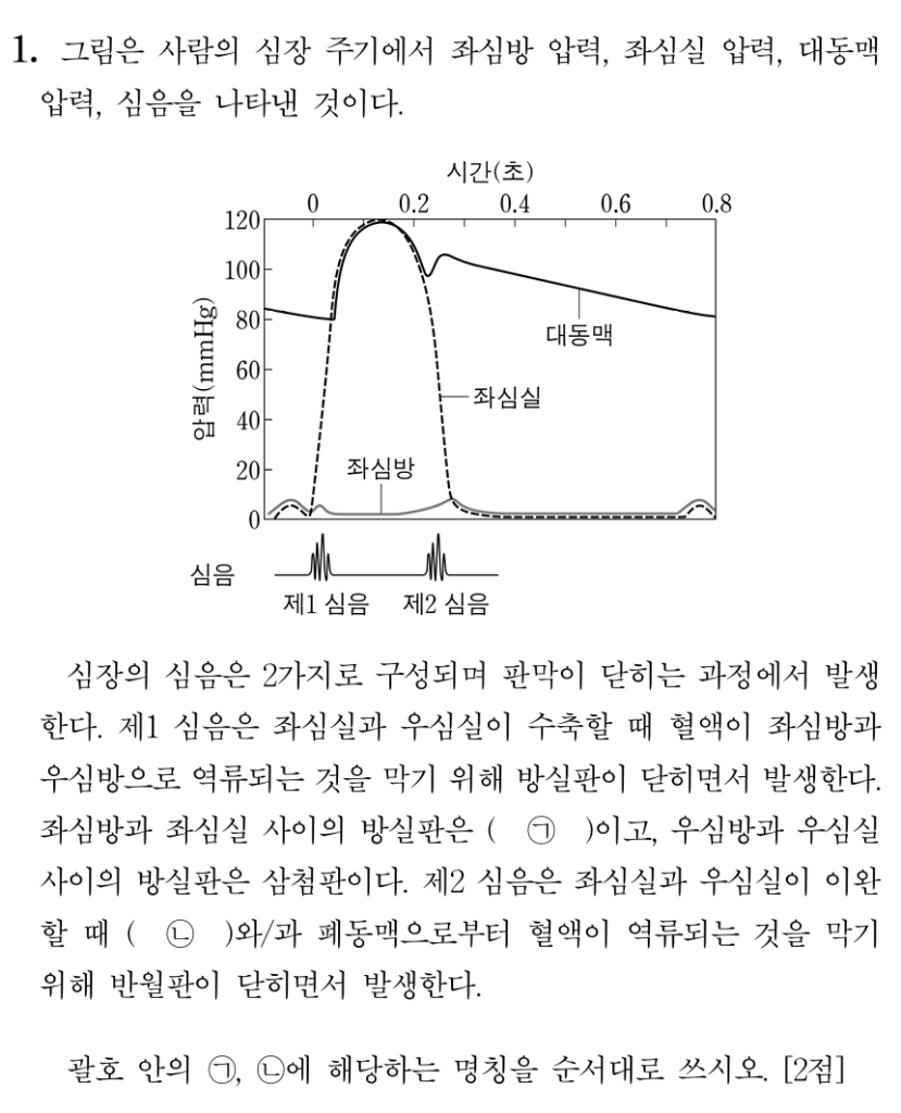 심장 주기