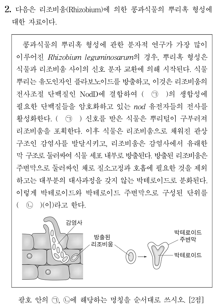 리조비움
