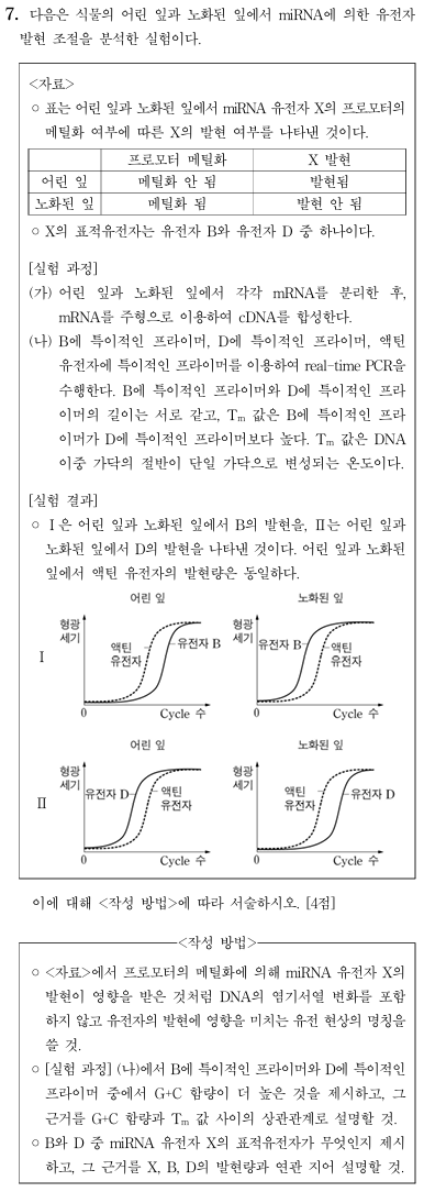 mRNA 유전자 발현 조절