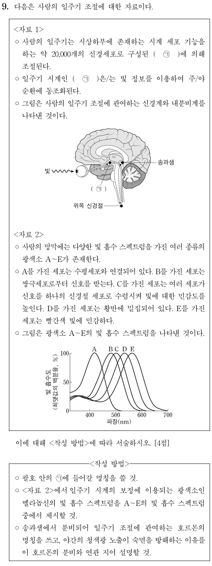 사람의 일주기 조절