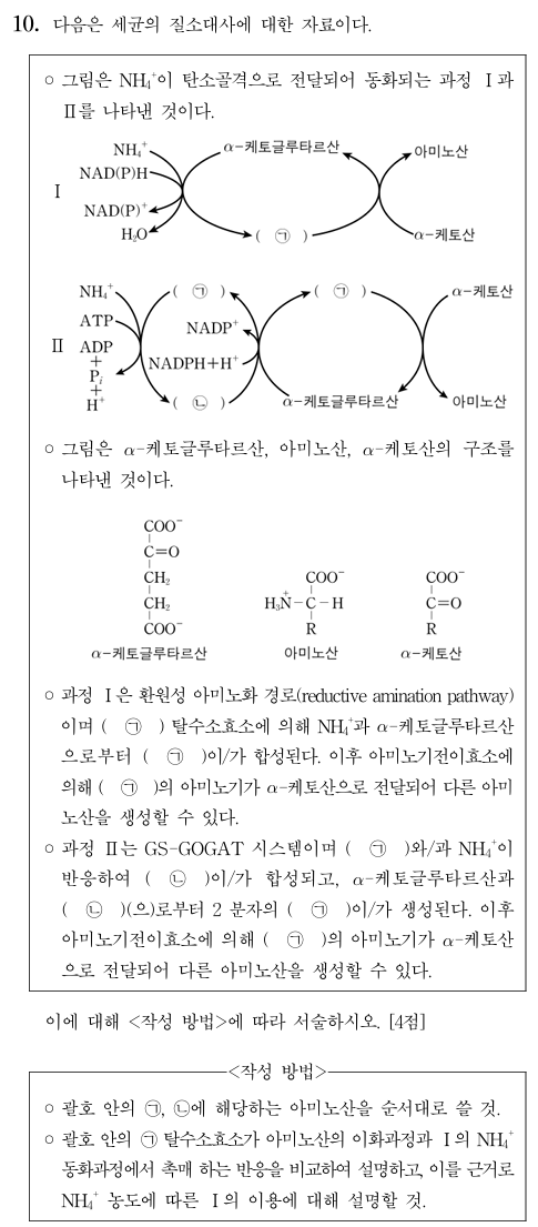 세균의 질소대사
