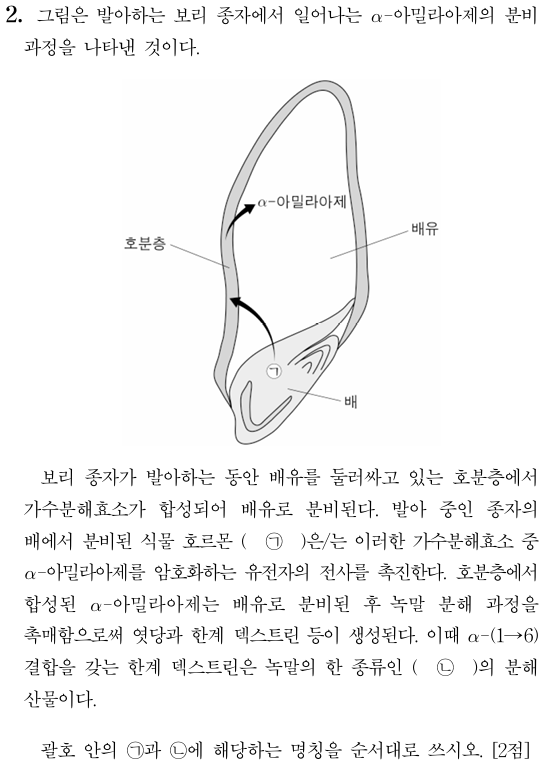 알파-아밀라아제 분비 과정