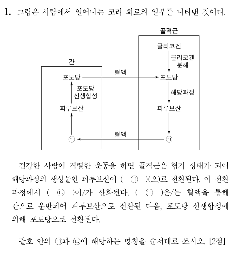 코리 회로