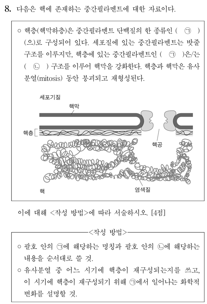 중간필라멘트
