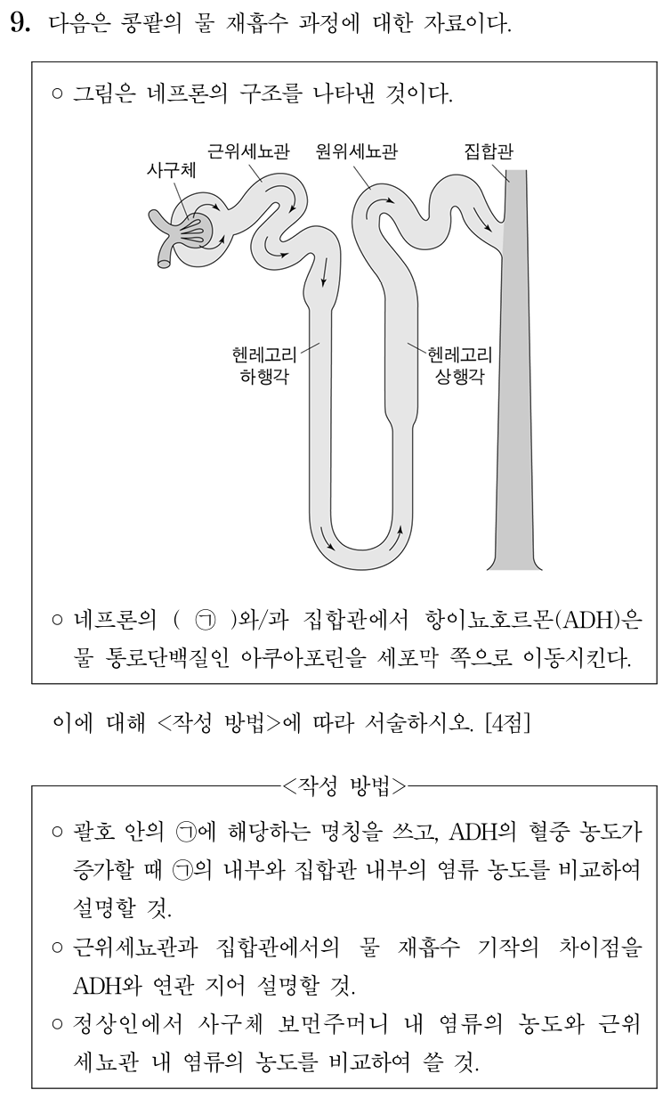 콩팥의 물 재흡수 과정