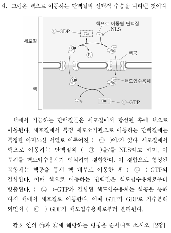 핵 단백질 선택적 수송