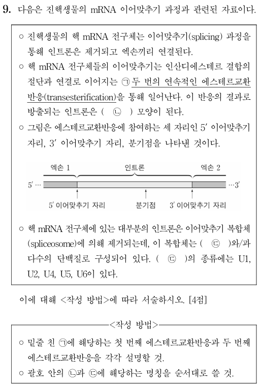진핵생물 mRNA 이어맞추기