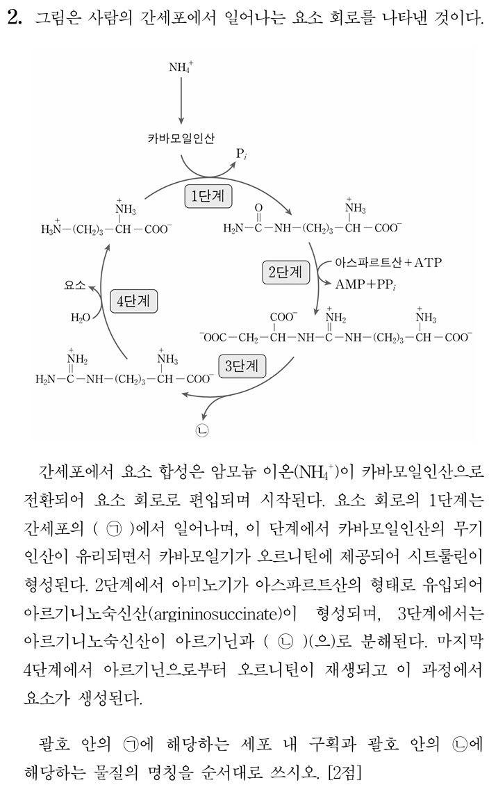 간세포 요소 회로