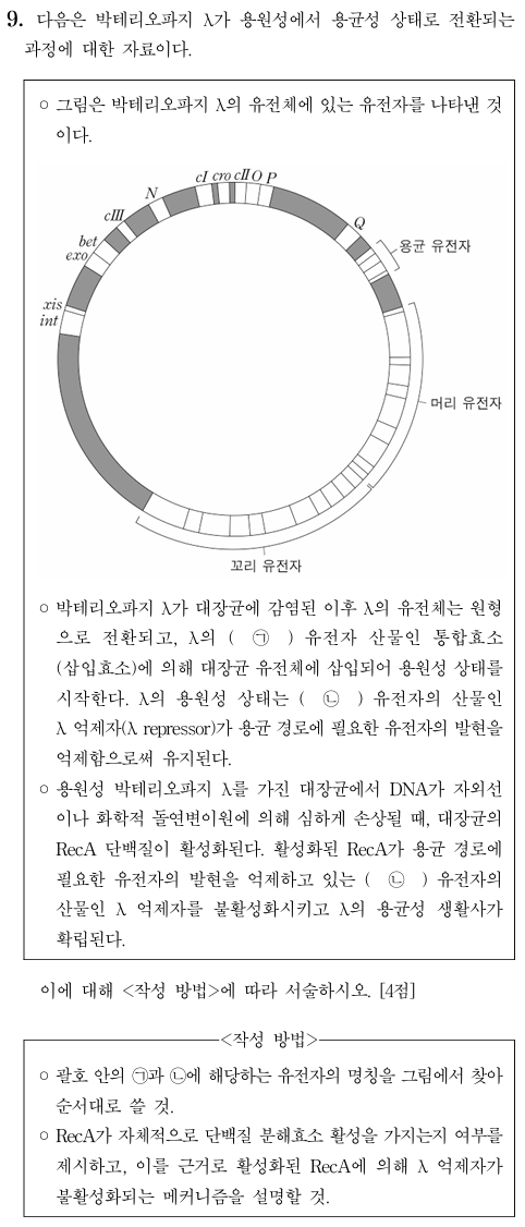 박테리오파지