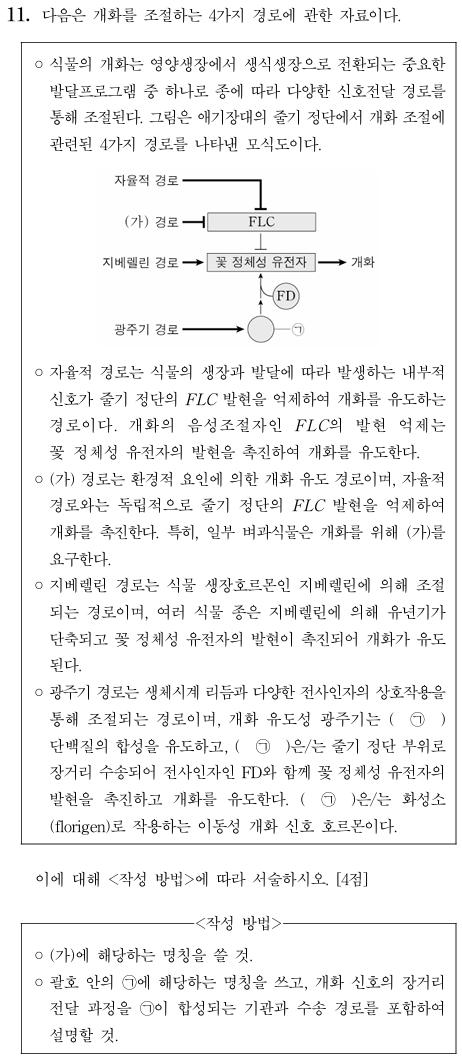 개화 조절 경로