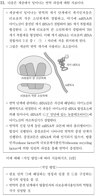 세균 번역 과정