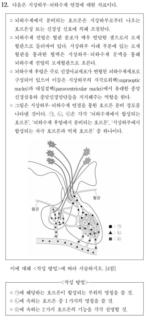 시상하부-뇌하수체 연결
