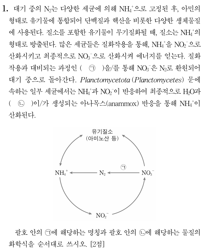 아나목스 반응