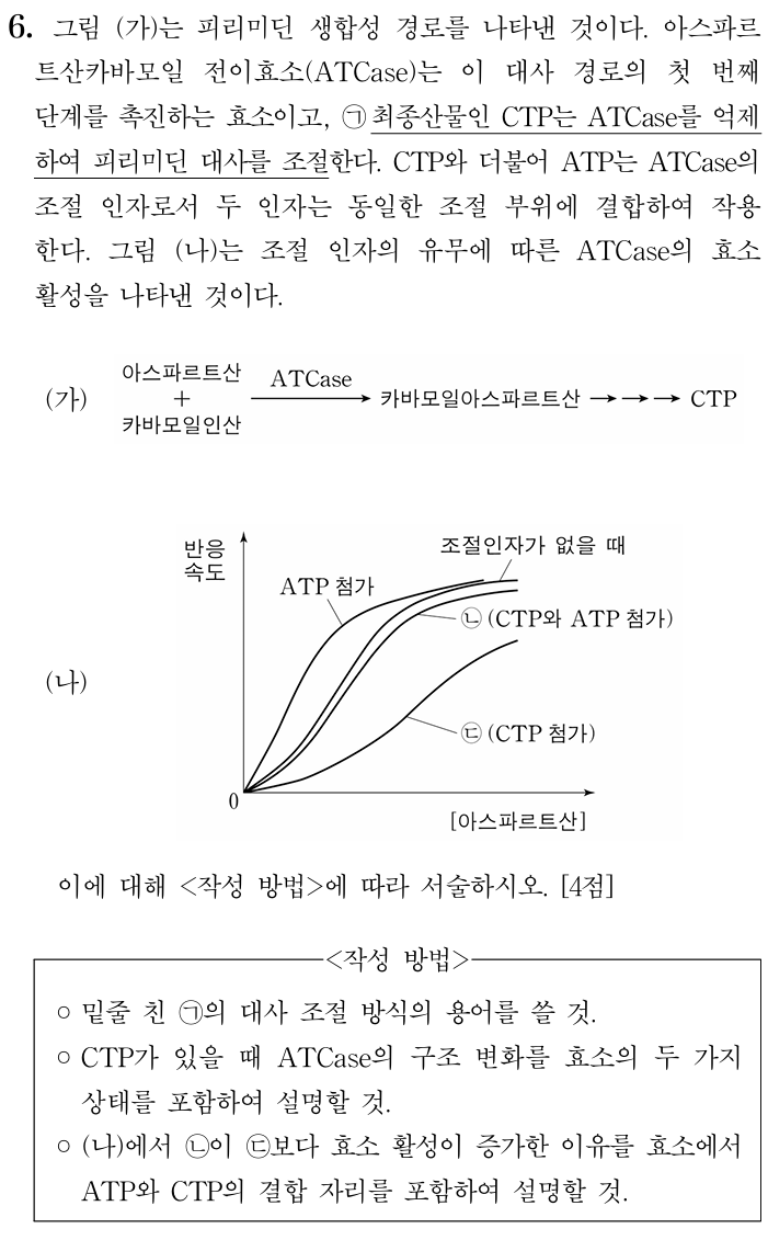피리미딘 생합성 경로