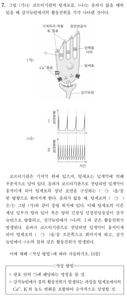 코르티기관 털세포