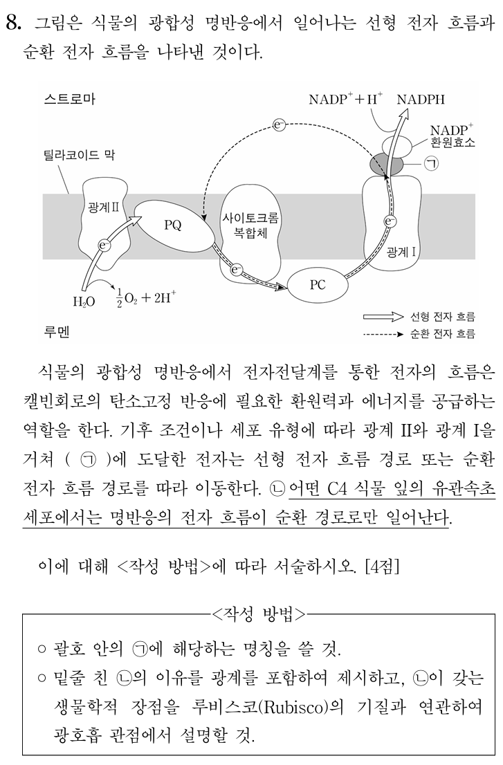 선형 전자 흐름과 순환 전자 흐름