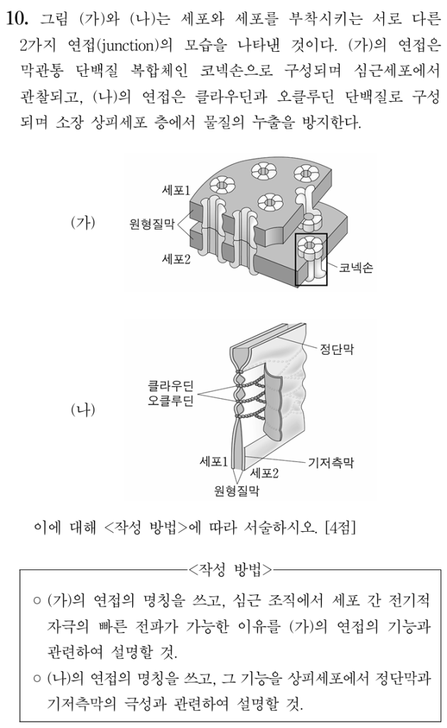연접