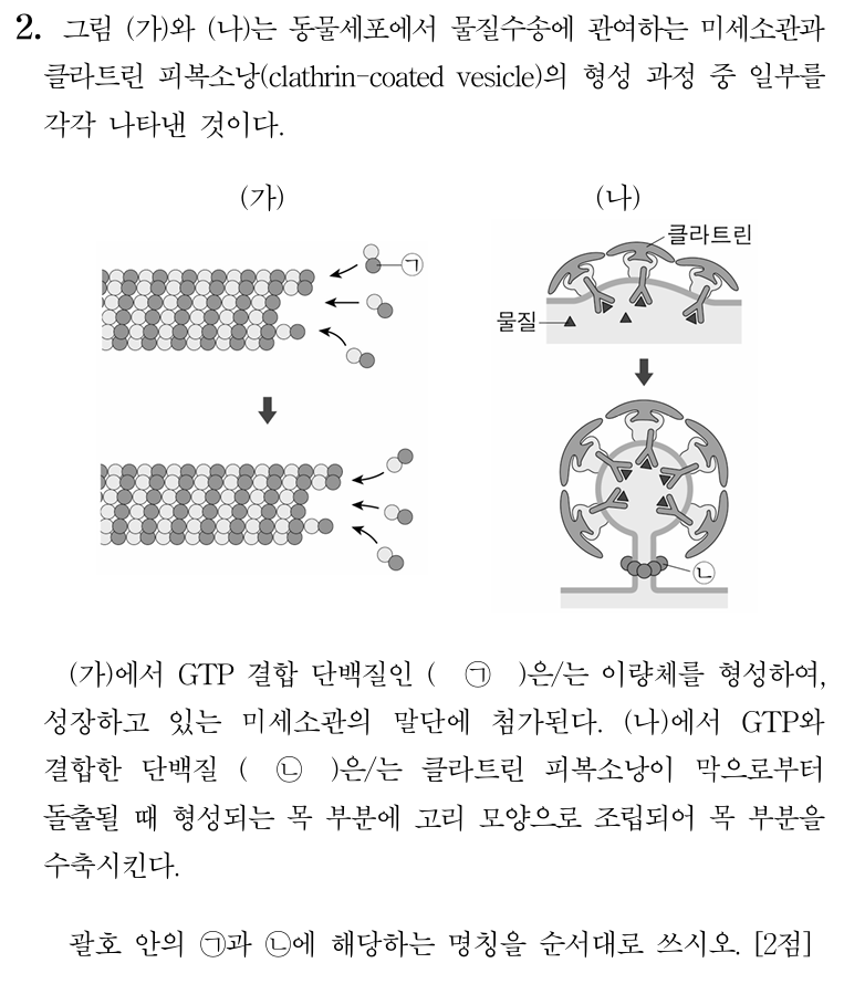 미세소관 클라트린 피복소낭