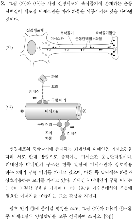 축삭돌기와 세포질 미세소관 화물 이동