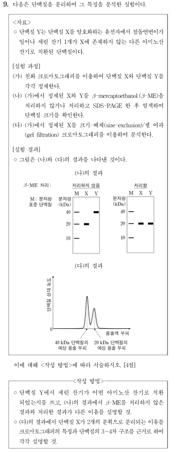 단백질 분리 특징 분석